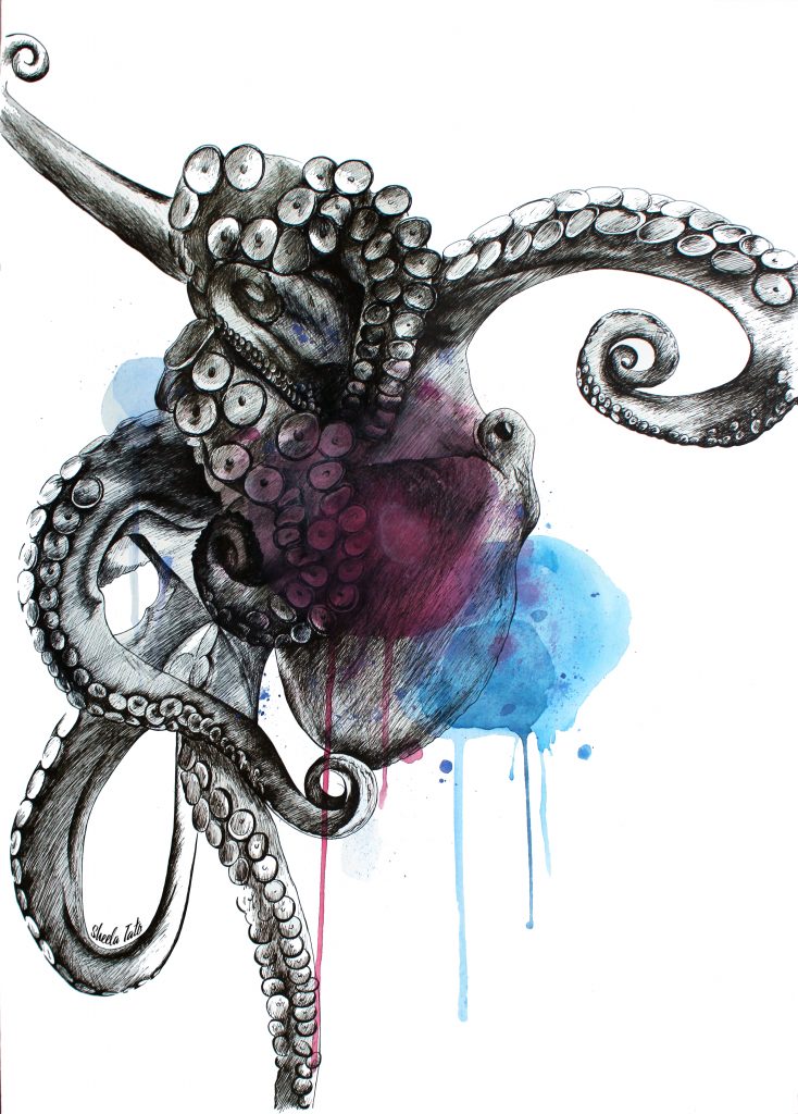 octopus
